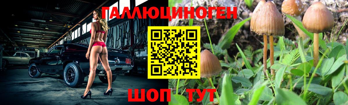 сколько стоит  Псилоцибиновые грибы мухоморы  Галлюциногенные грибы GOLDEN TEACHER  Вход с VPN  Десногорск 